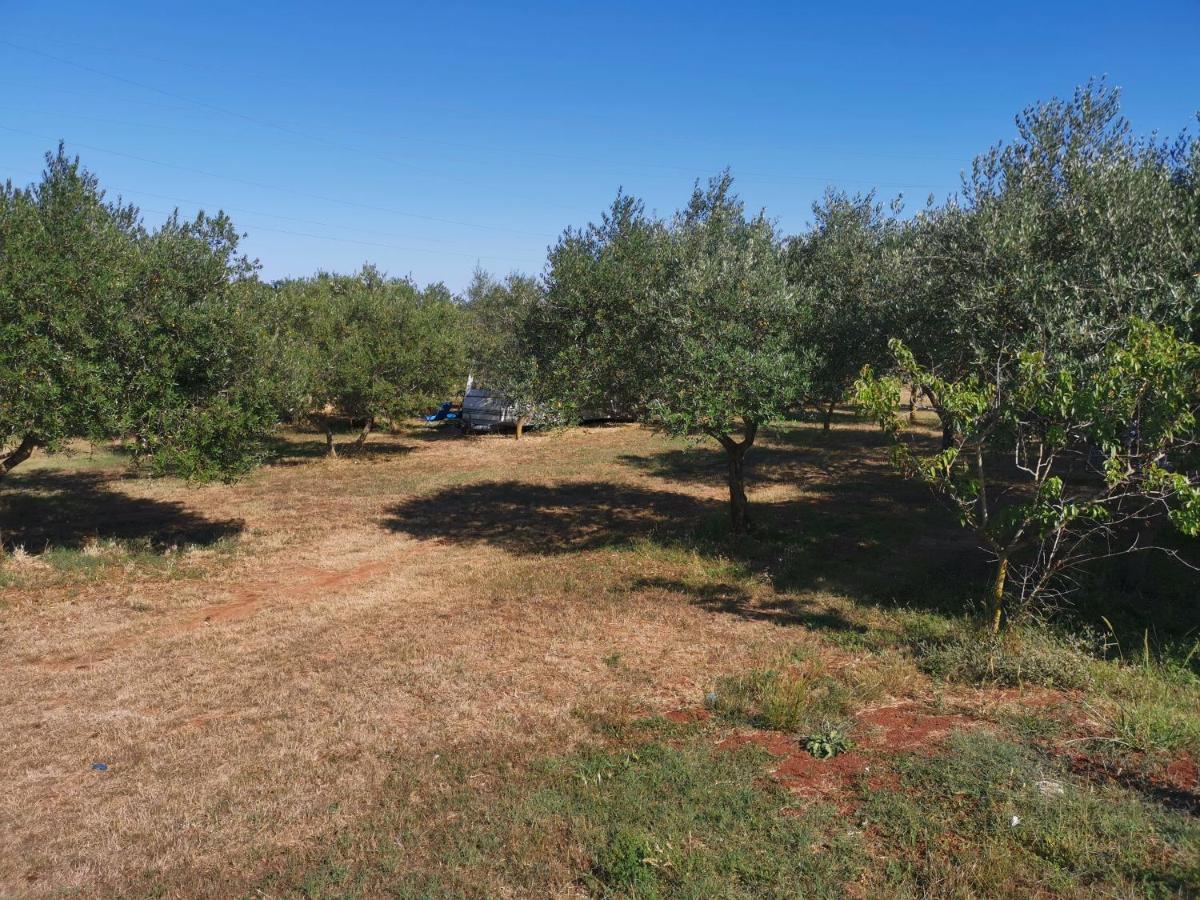 Jacuzi Cottage In The Olive Grove Pula Exterior foto