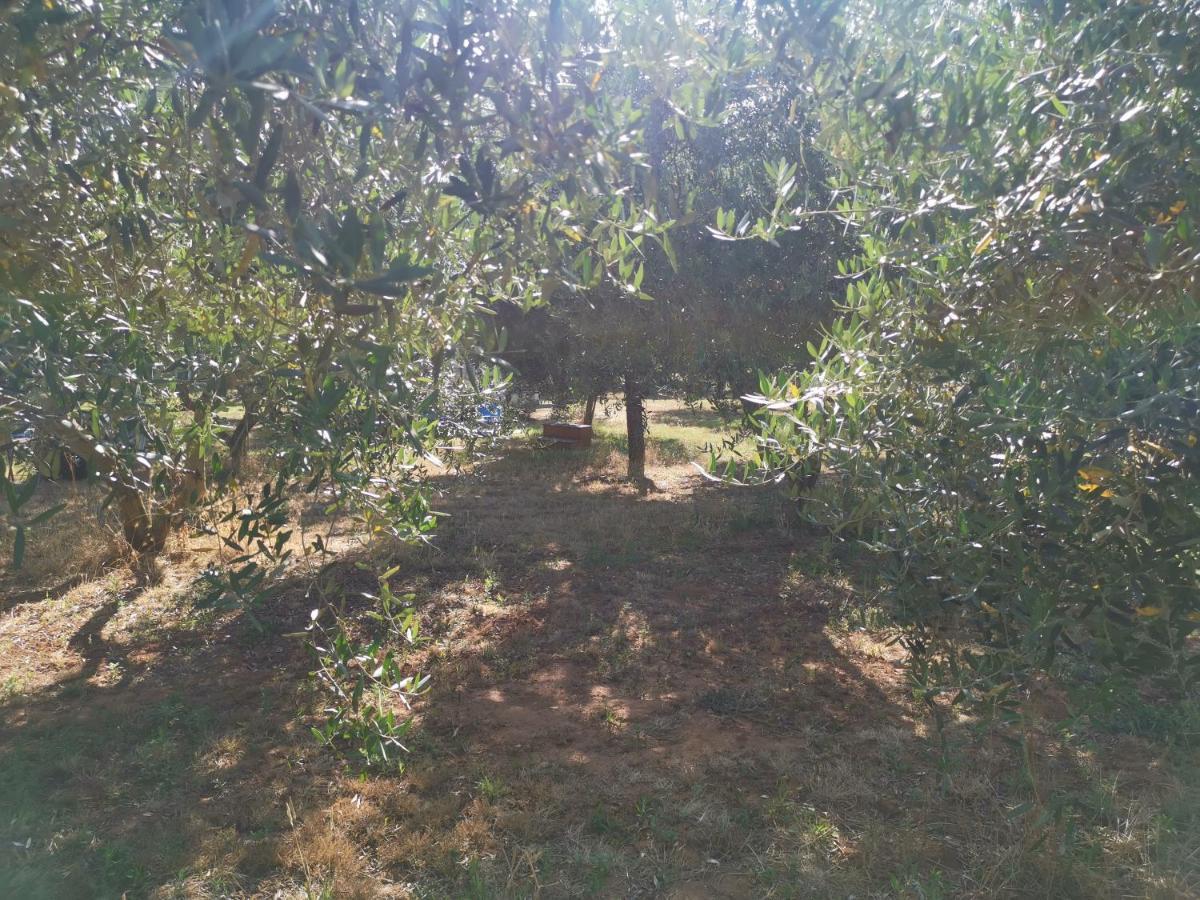 Jacuzi Cottage In The Olive Grove Pula Exterior foto