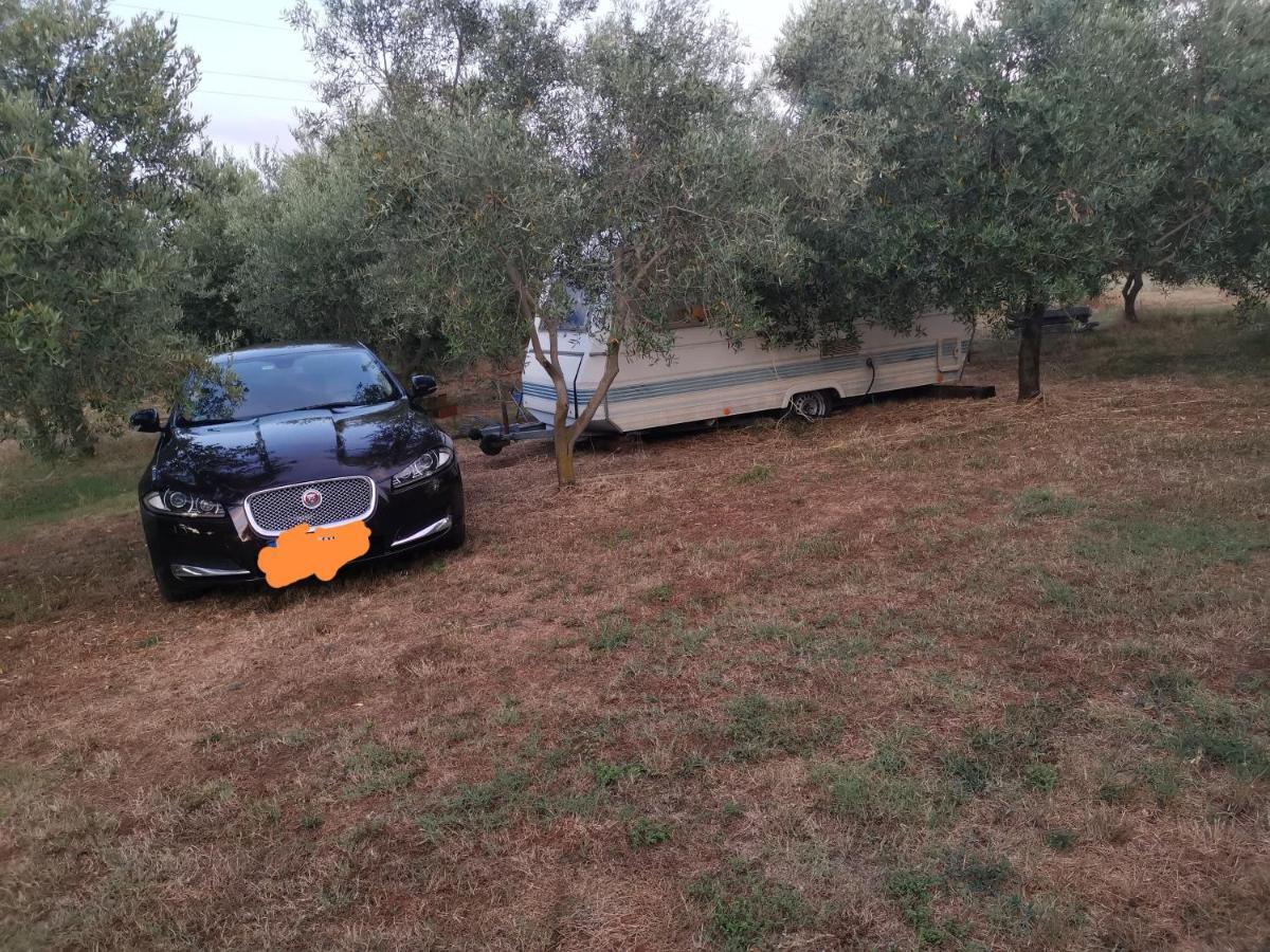 Jacuzi Cottage In The Olive Grove Pula Exterior foto