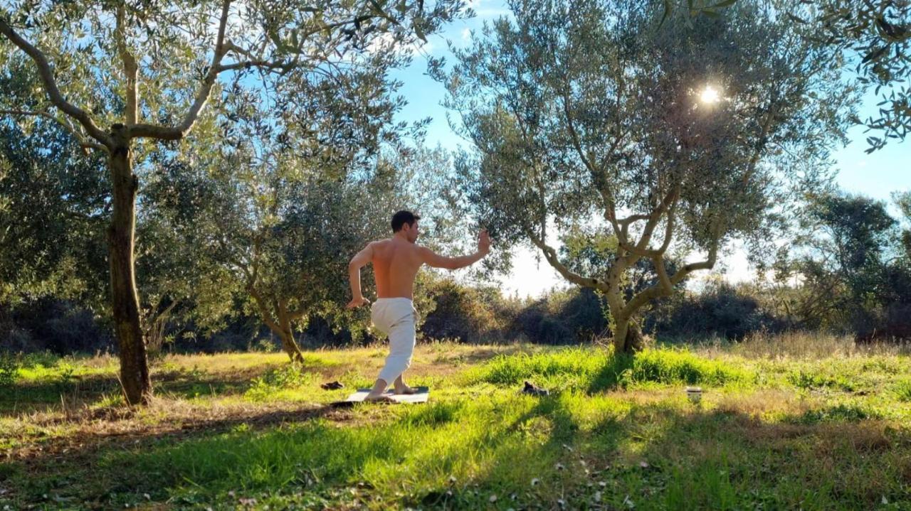 Jacuzi Cottage In The Olive Grove Pula Exterior foto