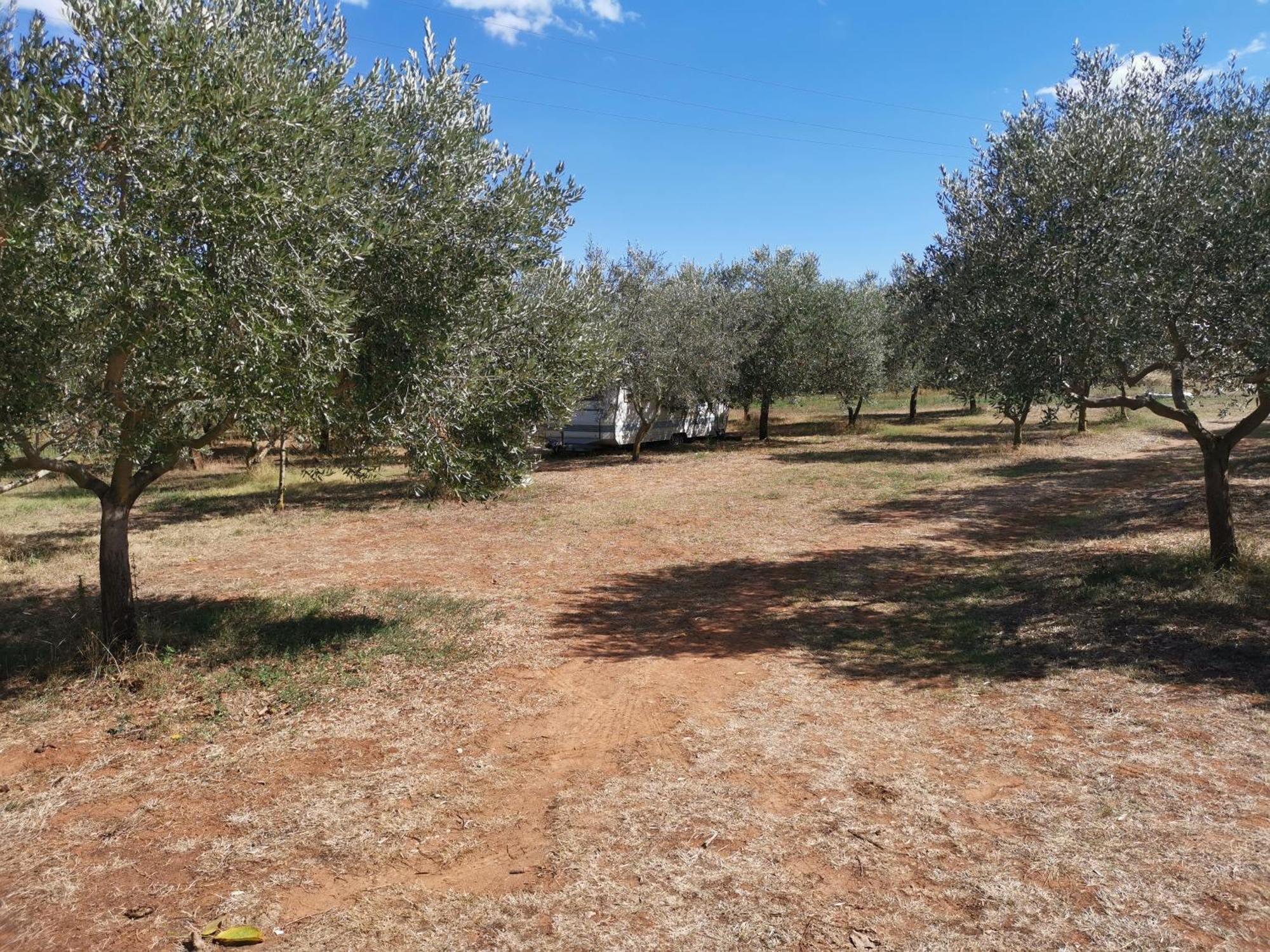 Jacuzi Cottage In The Olive Grove Pula Quarto foto